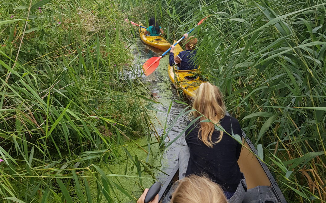 Bushcamps | 26-30 juli